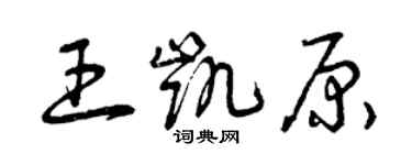 曾慶福王凱原草書個性簽名怎么寫