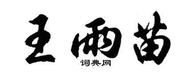 胡問遂王雨苗行書個性簽名怎么寫