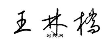 梁錦英王林橋草書個性簽名怎么寫