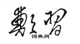 駱恆光鄭習草書個性簽名怎么寫