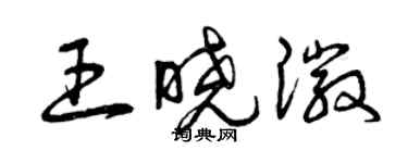 曾慶福王曉徽草書個性簽名怎么寫