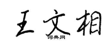 王正良王文相行書個性簽名怎么寫