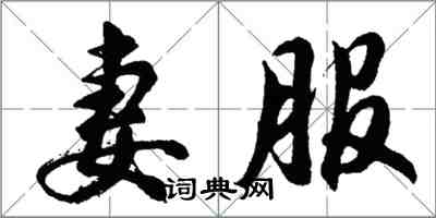 胡問遂妻服行書怎么寫