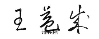 駱恆光王益成草書個性簽名怎么寫