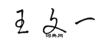 駱恆光王文一草書個性簽名怎么寫