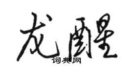 駱恆光龍醒行書個性簽名怎么寫