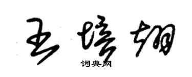 朱錫榮王培翊草書個性簽名怎么寫