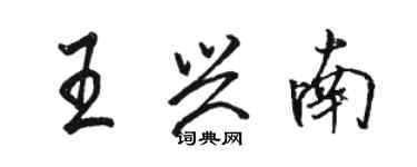 駱恆光王興南行書個性簽名怎么寫