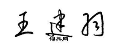 梁錦英王建羽草書個性簽名怎么寫