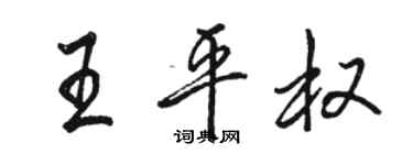 駱恆光王平權行書個性簽名怎么寫