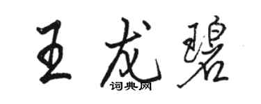 駱恆光王龍碧行書個性簽名怎么寫