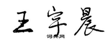 曾慶福王宇晨行書個性簽名怎么寫