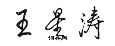 駱恆光王星濤行書個性簽名怎么寫