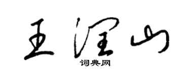 梁錦英王潤山草書個性簽名怎么寫