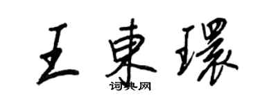 王正良王東環行書個性簽名怎么寫
