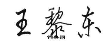 駱恆光王黎東行書個性簽名怎么寫