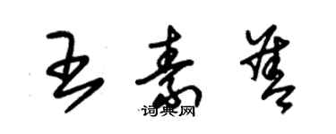 朱錫榮王素善草書個性簽名怎么寫