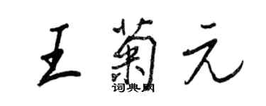 王正良王菊元行書個性簽名怎么寫