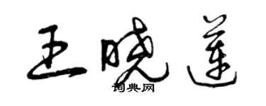 曾慶福王曉蓮草書個性簽名怎么寫