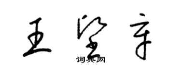 梁錦英王堅辛草書個性簽名怎么寫