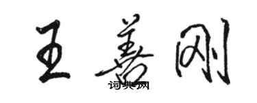 駱恆光王善剛行書個性簽名怎么寫