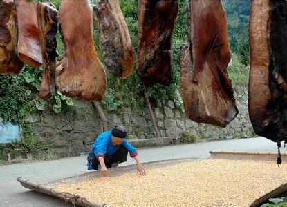 鄉村冬至_鄉村冬至作文