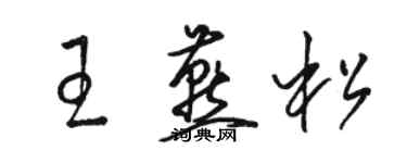 駱恆光王燕松草書個性簽名怎么寫