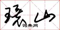 朱錫榮環山草書怎么寫