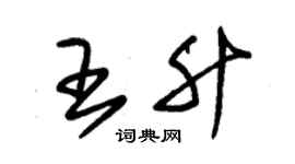 朱錫榮王升草書個性簽名怎么寫