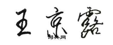 駱恆光王京露行書個性簽名怎么寫