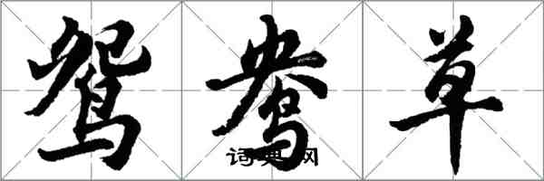 胡問遂鴛鴦草行書怎么寫