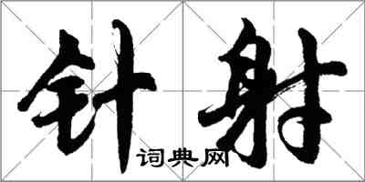 胡問遂針射行書怎么寫