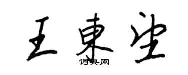 王正良王東望行書個性簽名怎么寫