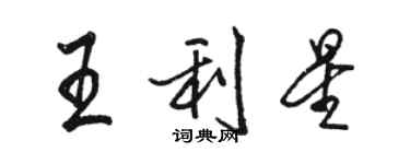 駱恆光王利星行書個性簽名怎么寫