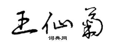 曾慶福王仙菊草書個性簽名怎么寫