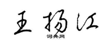 梁錦英王揚江草書個性簽名怎么寫