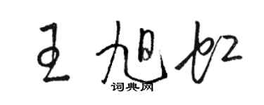 駱恆光王旭虹草書個性簽名怎么寫