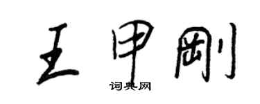 王正良王甲剛行書個性簽名怎么寫