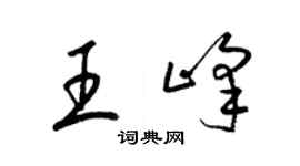 梁錦英王峰草書個性簽名怎么寫