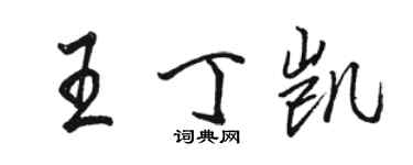 駱恆光王丁凱行書個性簽名怎么寫
