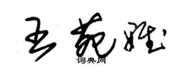 朱錫榮王苑雅草書個性簽名怎么寫