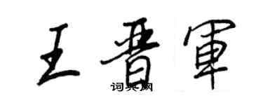 王正良王晉軍行書個性簽名怎么寫