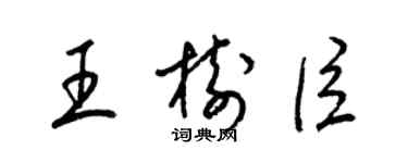 梁錦英王樹臣草書個性簽名怎么寫