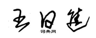 朱錫榮王日進草書個性簽名怎么寫