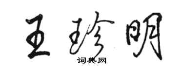 駱恆光王珍明行書個性簽名怎么寫