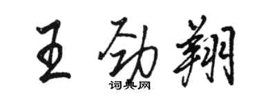 駱恆光王勁翔行書個性簽名怎么寫