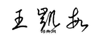 梁錦英王凱敏草書個性簽名怎么寫