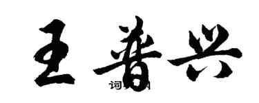 胡問遂王普興行書個性簽名怎么寫