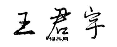 曾慶福王君宇行書個性簽名怎么寫