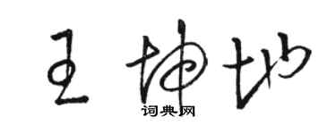 駱恆光王坤地草書個性簽名怎么寫